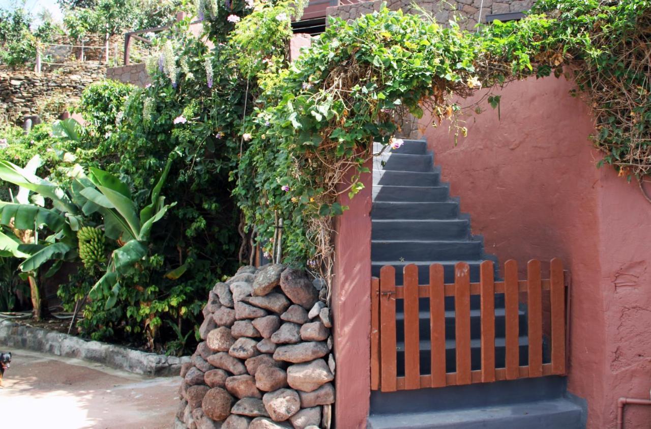 Tonono'S Village Santa Maria de Guia de Gran Canaria Exterior photo