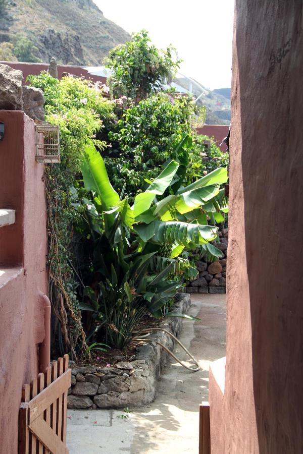 Tonono'S Village Santa Maria de Guia de Gran Canaria Exterior photo